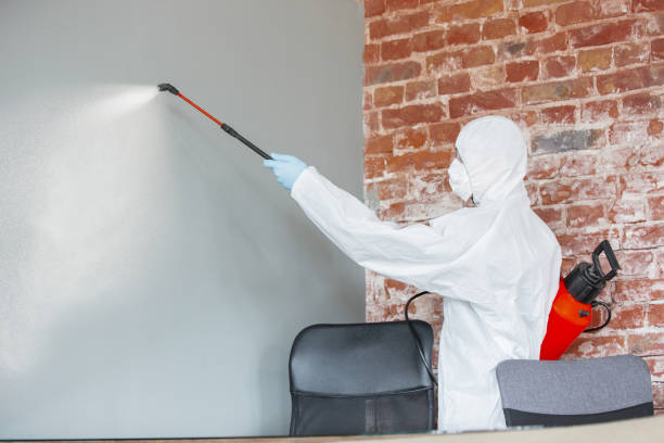 Best Mold Remediation for Rental Properties  in Lindale, TX