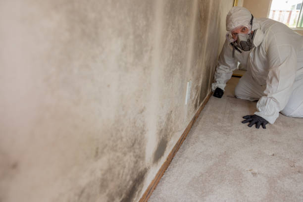 Mold Remediation for Rental Properties in Lindale, TX